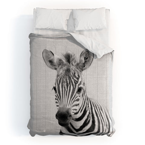 Gal Design Baby Zebra Black White Comforter