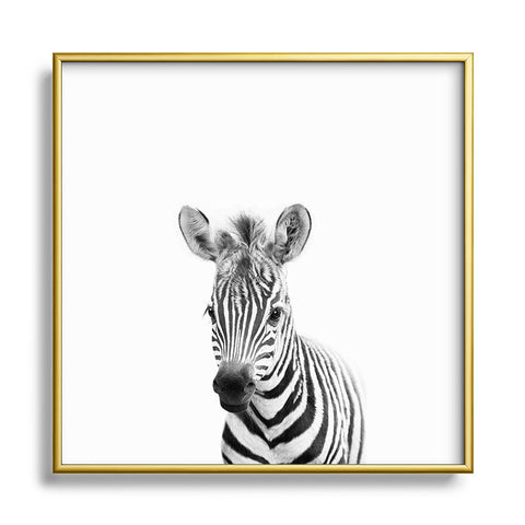 Gal Design Baby Zebra Black White Metal Square Framed Art Print