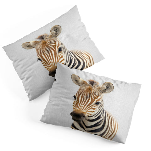 Gal Design Baby Zebra Colorful Pillow Shams