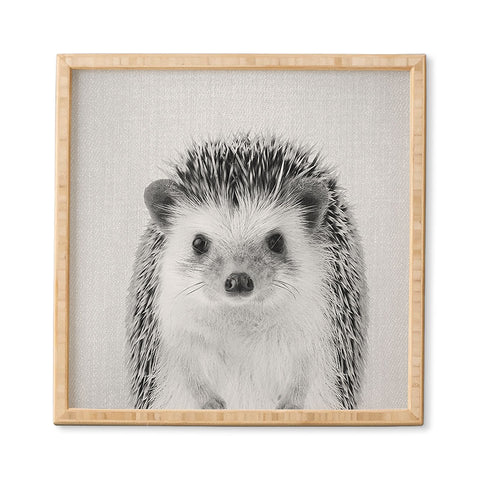 Gal Design Hedgehog Black White Framed Wall Art