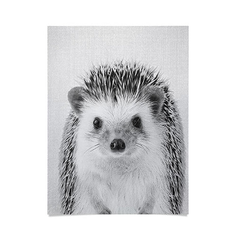 Gal Design Hedgehog Black White Poster