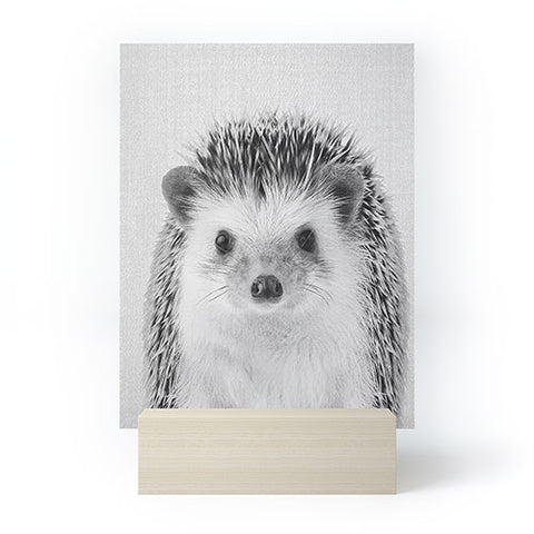 Gal Design Hedgehog Black White Mini Art Print