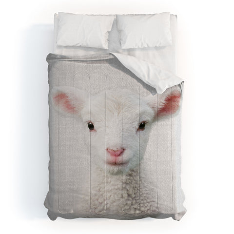 Gal Design Lamb Colorful Comforter