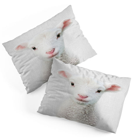 Gal Design Lamb Colorful Pillow Shams