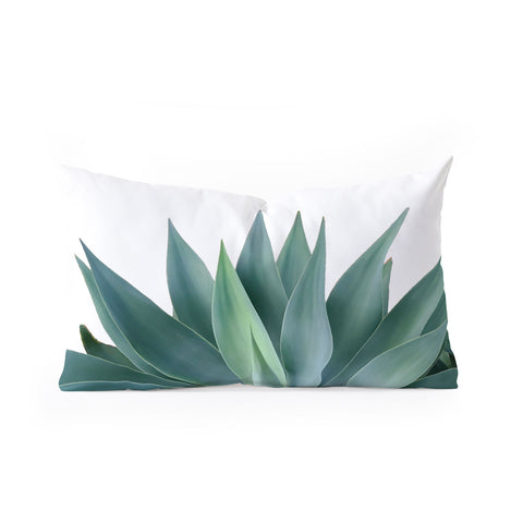 Gale Switzer Agave Blanco Oblong Throw Pillow