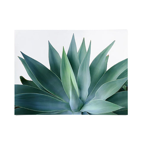Gale Switzer Agave Blanco Poster