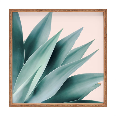 Gale Switzer Agave Flare II peach Square Tray