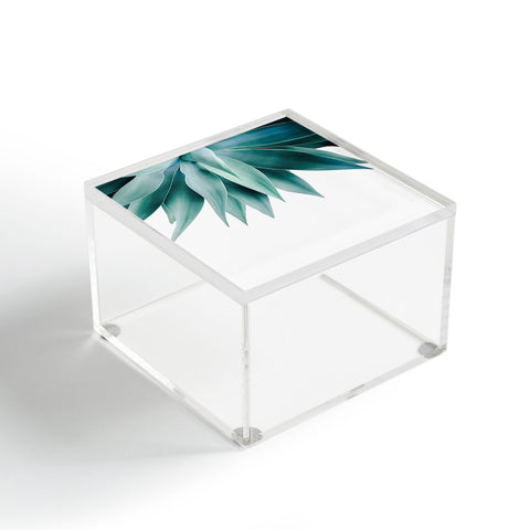 Gale Switzer Agave fringe Acrylic Box