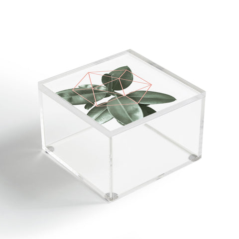 Gale Switzer Geometric Greenery Acrylic Box