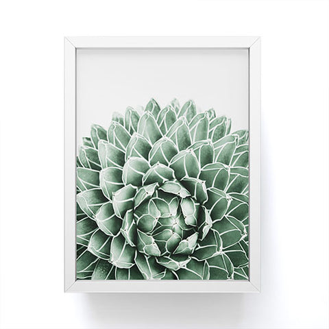 Gale Switzer Succulent splendour Framed Mini Art Print