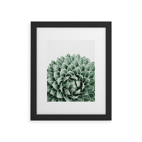 Gale Switzer Succulent splendour Framed Art Print