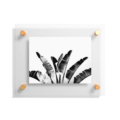 Gale Switzer Traveler Palm bw Floating Acrylic Print