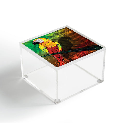 Gina Rivas Design Parrot Acrylic Box