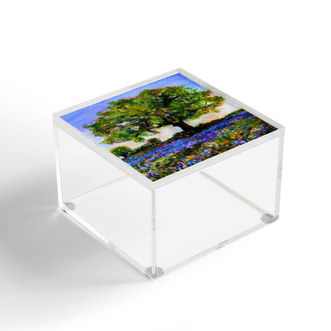 Ginette Fine Art Texas Hill Country Bluebonnets Acrylic Box