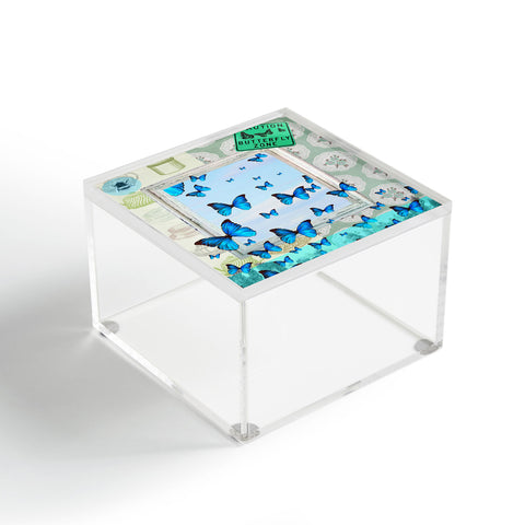 Ginger Pigg Butterfly Zone Acrylic Box