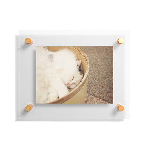 Happee Monkee Cute Sleepy Cat Floating Acrylic Print