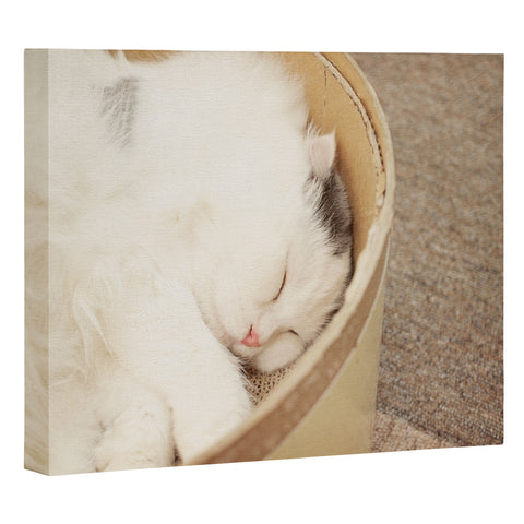 Happee Monkee Cute Sleepy Cat Art Canvas