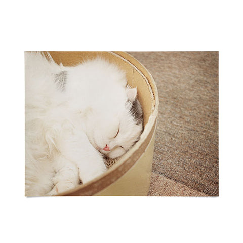 Happee Monkee Cute Sleepy Cat Poster