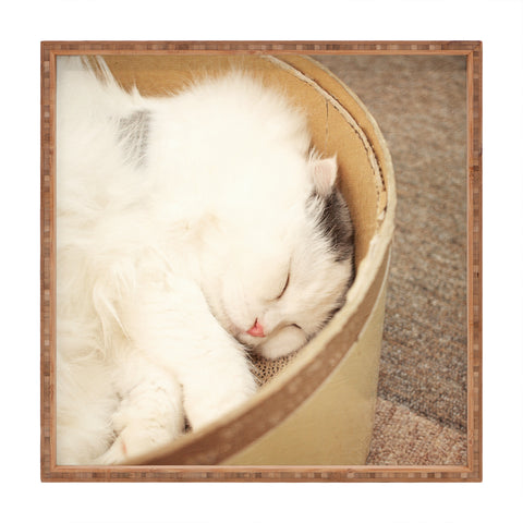 Happee Monkee Cute Sleepy Cat Square Tray