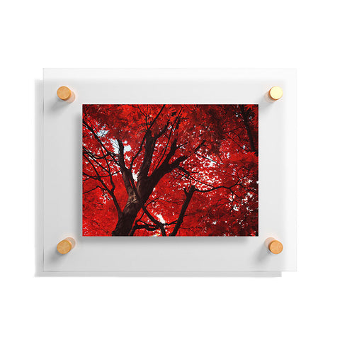 Happee Monkee Red Canopy Floating Acrylic Print