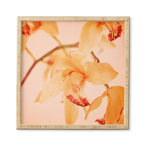 Happee Monkee Wild Orchids 2 Framed Wall Art