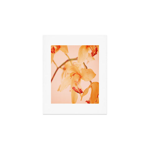 Happee Monkee Wild Orchids 2 Art Print