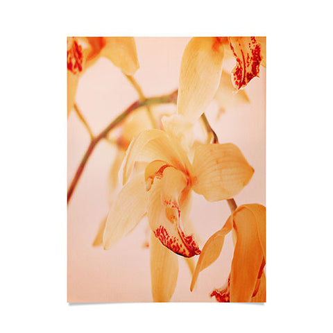 Happee Monkee Wild Orchids 2 Poster