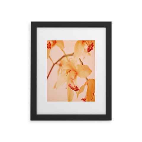 Happee Monkee Wild Orchids 2 Framed Art Print