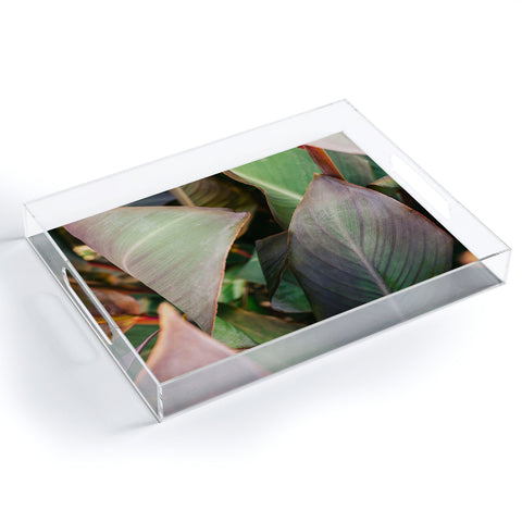 Hello Twiggs Abstract Leaves Acrylic Tray