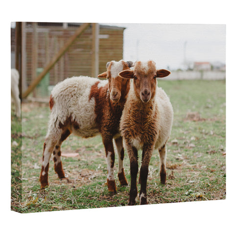 Hello Twiggs Counting Sheep Art Canvas