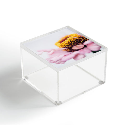 Hello Twiggs Delicate Petals Acrylic Box
