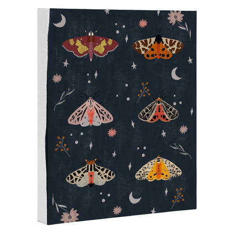 Hello Twiggs Nocturnal Moths Art Canvas