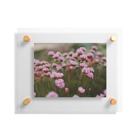 Hello Twiggs Pale Pink Flowers Floating Acrylic Print