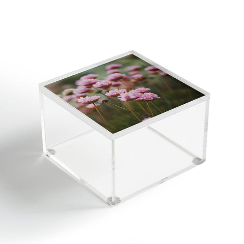 Hello Twiggs Pale Pink Flowers Acrylic Box
