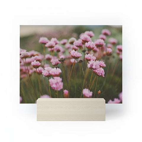 Hello Twiggs Pale Pink Flowers Mini Art Print