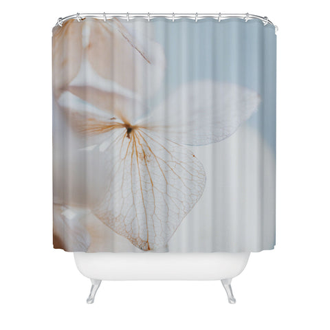 Hello Twiggs Pastel Dry Hydrangea Shower Curtain