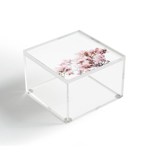 Hello Twiggs Pink Magnolias Acrylic Box