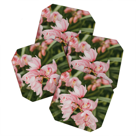 Hello Twiggs Pink Orchids Coaster Set