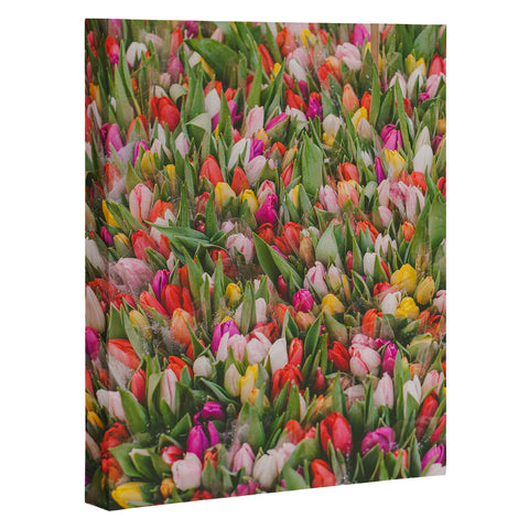 Hello Twiggs Rainbow Tulips Art Canvas