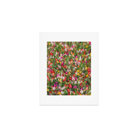 Hello Twiggs Rainbow Tulips Art Print