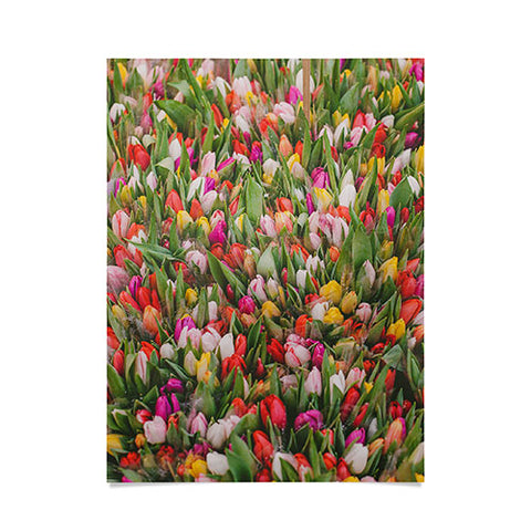 Hello Twiggs Rainbow Tulips Poster