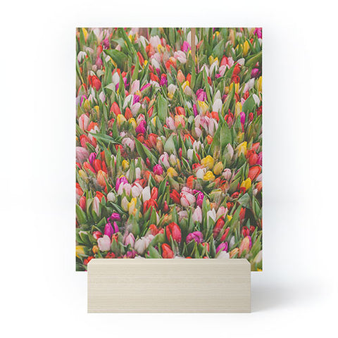 Hello Twiggs Rainbow Tulips Mini Art Print