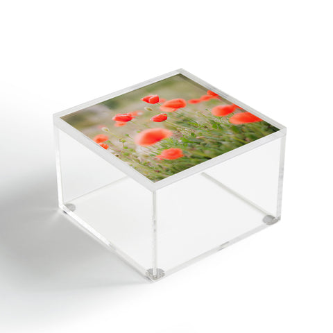 Hello Twiggs Red Poppy Acrylic Box
