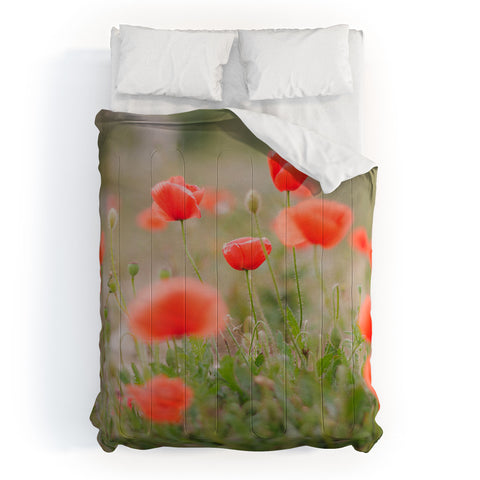 Hello Twiggs Red Poppy Comforter