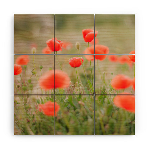 Hello Twiggs Red Poppy Wood Wall Mural