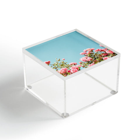 Hello Twiggs Roses are Pink Acrylic Box