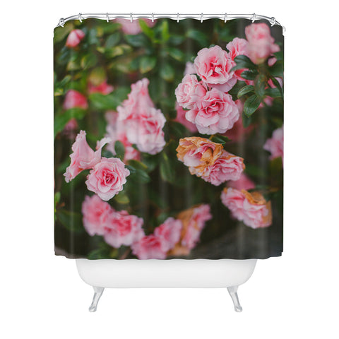 Hello Twiggs Small Roses Shower Curtain