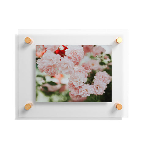 Hello Twiggs Soft Pink Roses Floating Acrylic Print