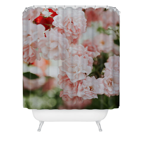 Hello Twiggs Soft Pink Roses Shower Curtain