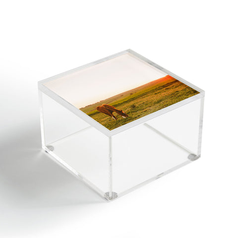 Hello Twiggs Sunset Delight Acrylic Box